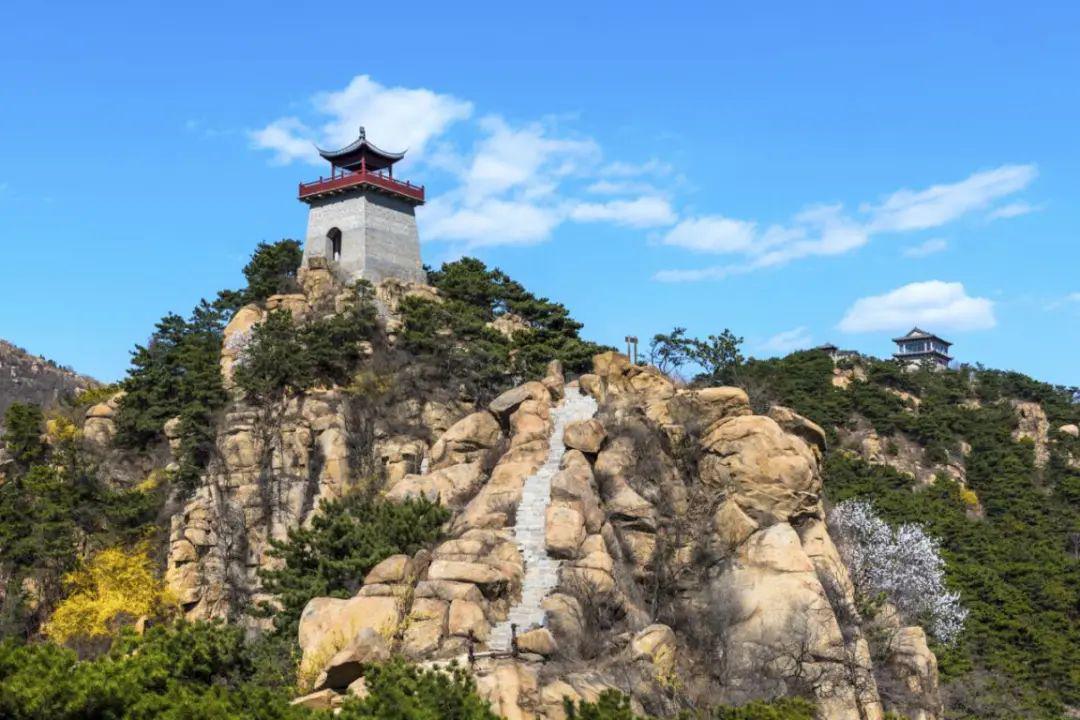 免门票游香山牡丹花海5月17日周日莱芜香山牡丹花海赏芍药摘樱桃游