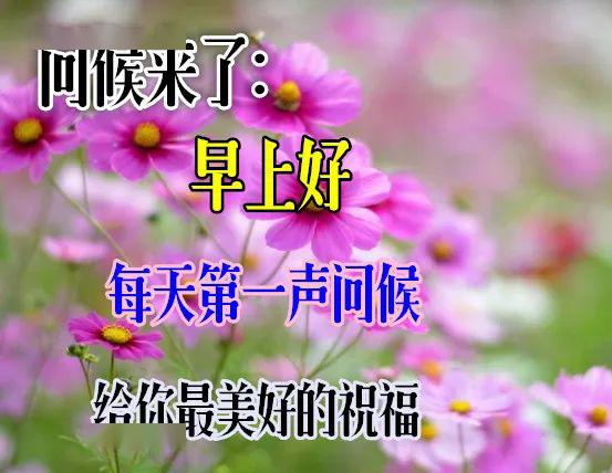 5月11日最漂亮早上好动态表情图片大全早晨好动图美图大全