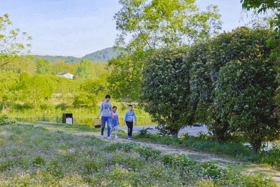 腾讯元老赚钱辞职到安徽隐居,每天对着200亩地发呆