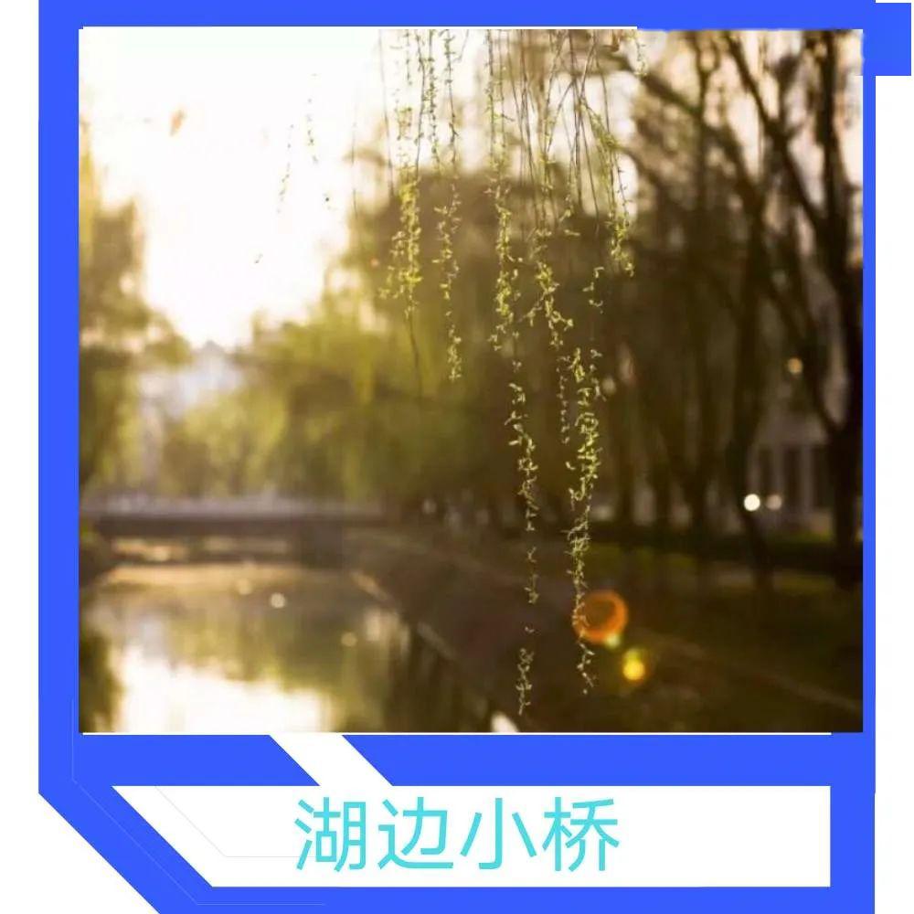 成语交相什么映_成语故事简笔画(3)