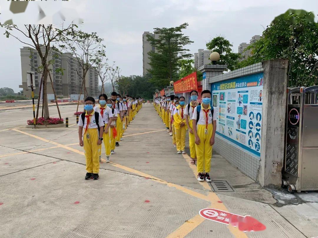 直击现场,又一批"神兽"归笼了!