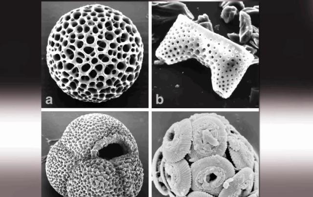 水是什么元素构成 210b5948f3fd44f6a2973a927d94c90f.jpeg