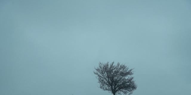 2535c9a41f414d97af0b7339decea0df.jpeg
