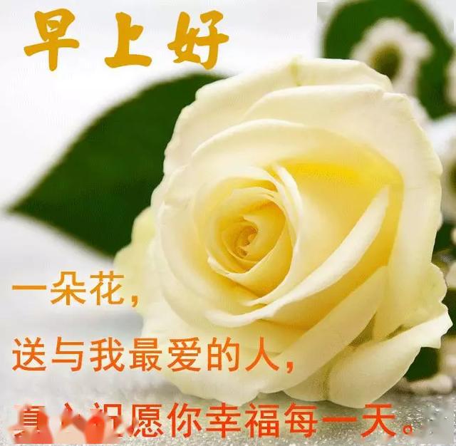 一声问候,一句祝福.早安问候语图片表情大全,早安