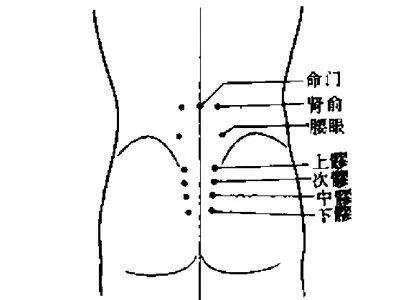 按摩腰 腰部有很多穴位,如命门穴,肾俞穴,腰阳关穴,腰眼穴等,平时可