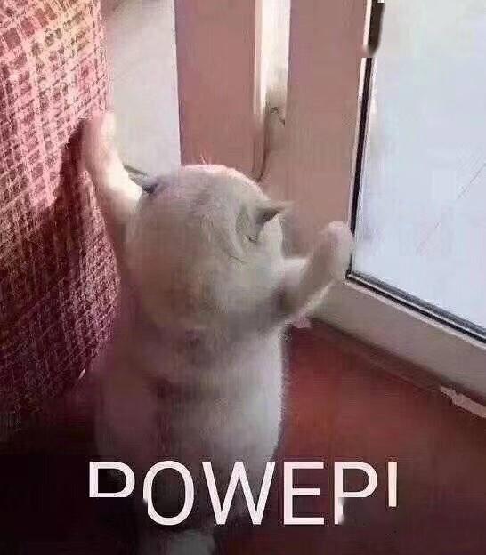 我该怎么办搞笑版 2795b60c11bb45f7baf640f9951cf116.jpeg