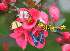 27d925600e2e428ab110241f346e1c20.gif