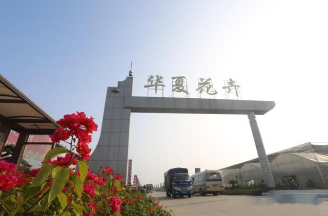 新港镇人口_如皋长江镇新港小学(2)
