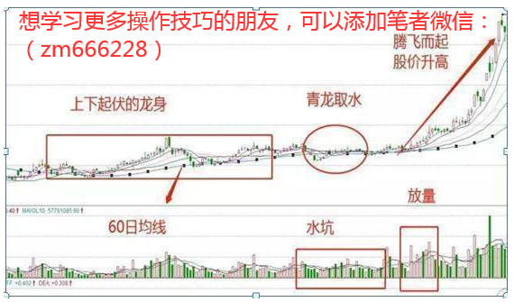 2bd7384dcb0542c4bcd0545b546c5c24.png