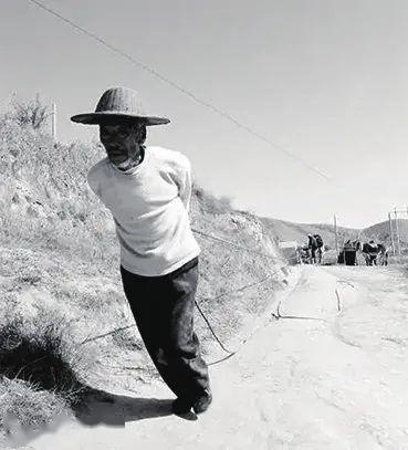 法报纪录 总算告别了苦焦的日子—且看彭阳人当年吃水有多困难