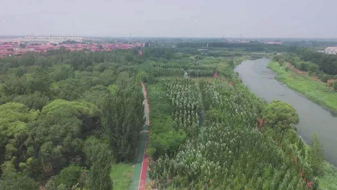 东光县有多少人口_东光县吕老四儿子吕杰(2)