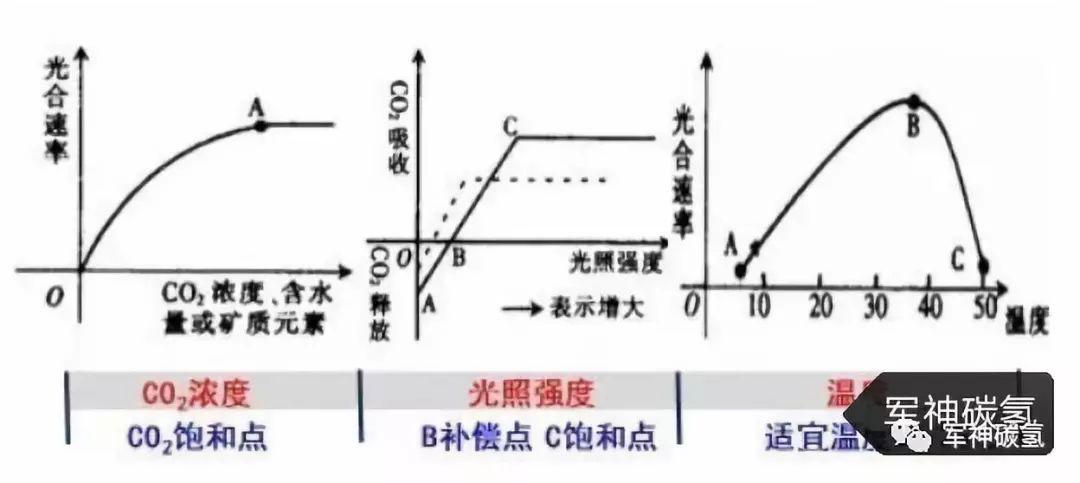 常规意义上的光合作用:就是绿色植物利用太阳光的能量,把二氧化碳和水