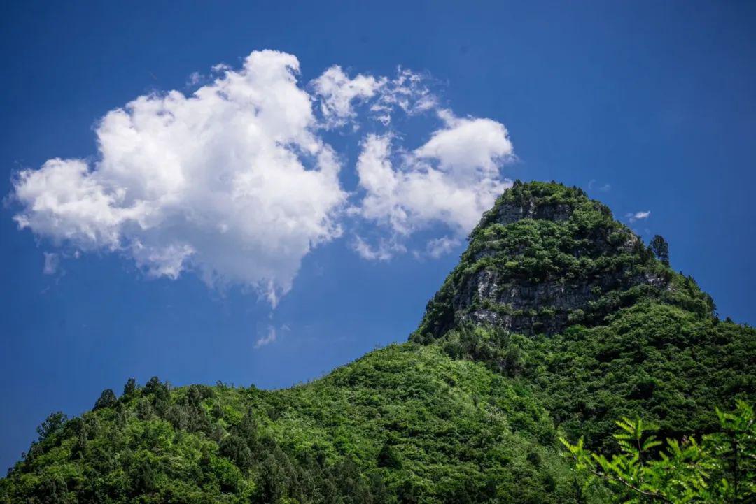 既不扰人又不怕人 可爱极了 悠然的翡翠湖 这里还有天王峰,老君滩