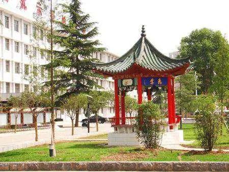 2020年高考洛阳排名_刚刚!洛阳2020年中招录取分数线公布……