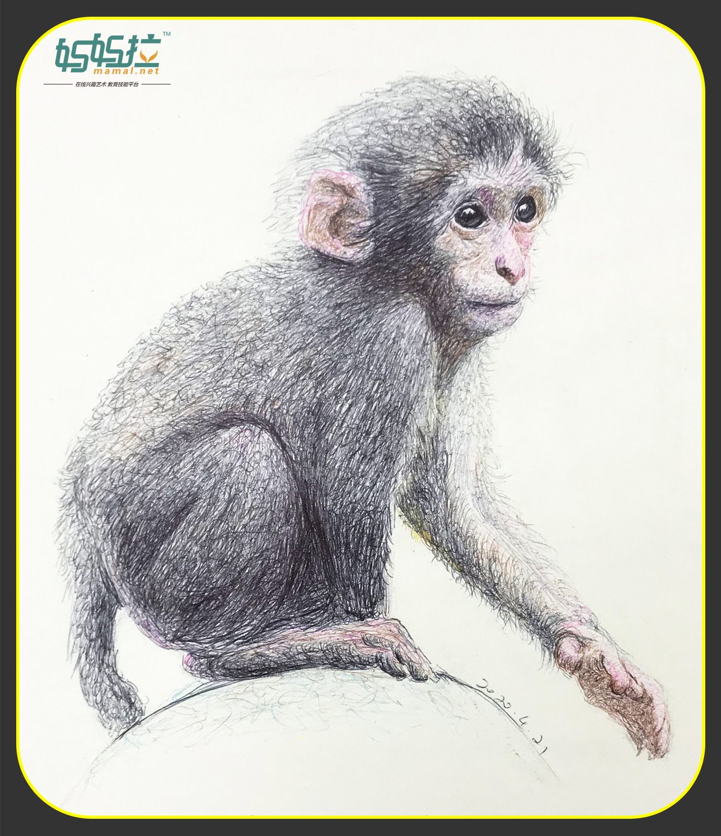 妈妈拉艺术学院-裴俊飞老师-速写动物欣赏之小猴子
