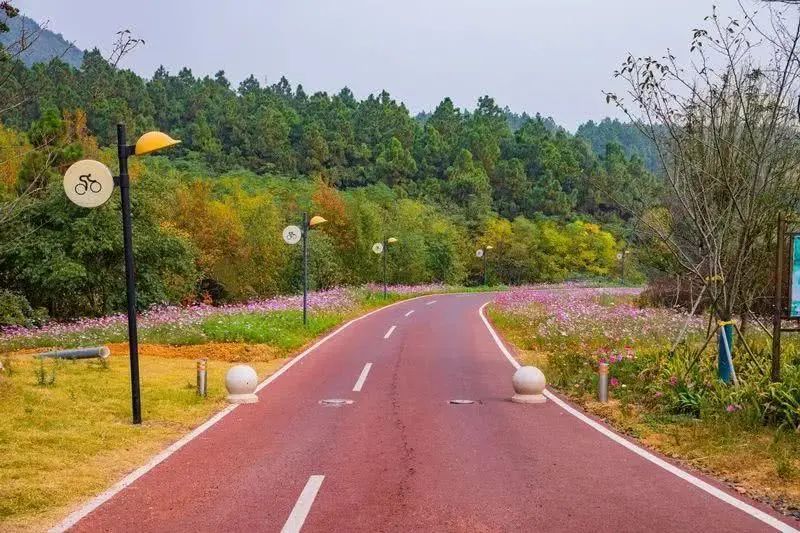 5月17号99元走溧阳一号公路,赏曹山慢城风景~还送100个鸡蛋和100个咸