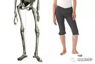 怎么拉伸腿后不伤膝盖 460f07882ff54cd28f5782b01d18f586.jpeg