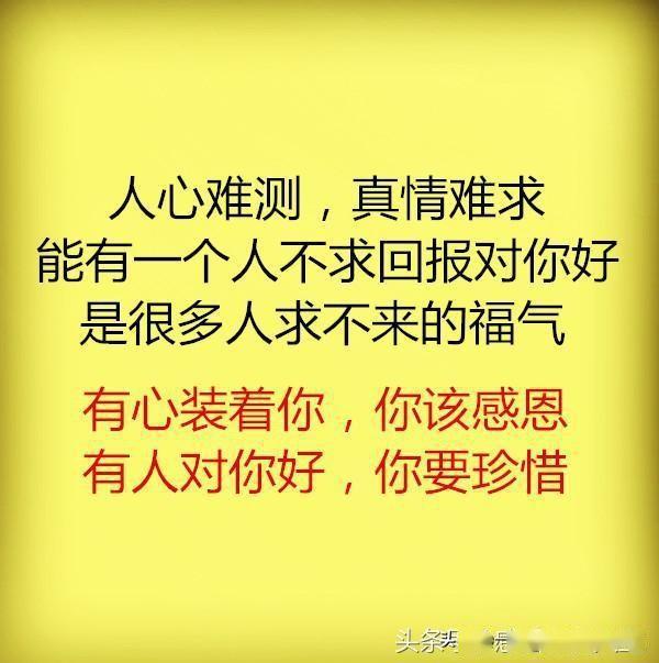 472ed5e0dbbe4d73882a0d9eee16ec70.jpeg