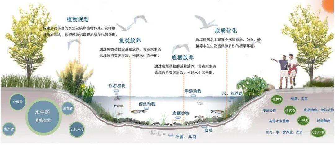 图2 生态修复原理图期待集天地之灵气成一湖之大美的天地湖更美丽地