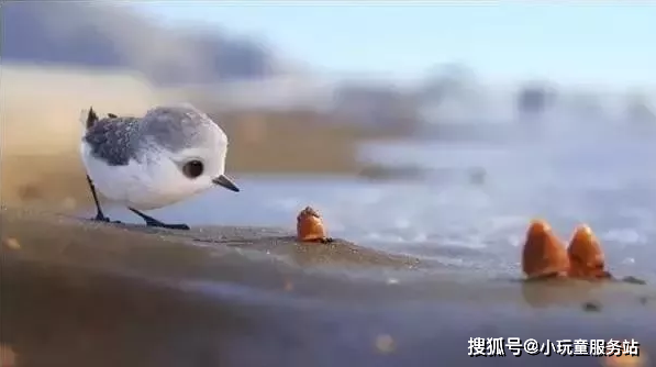 48757c61731c4218ae5bc4edbae2e4eb.png
