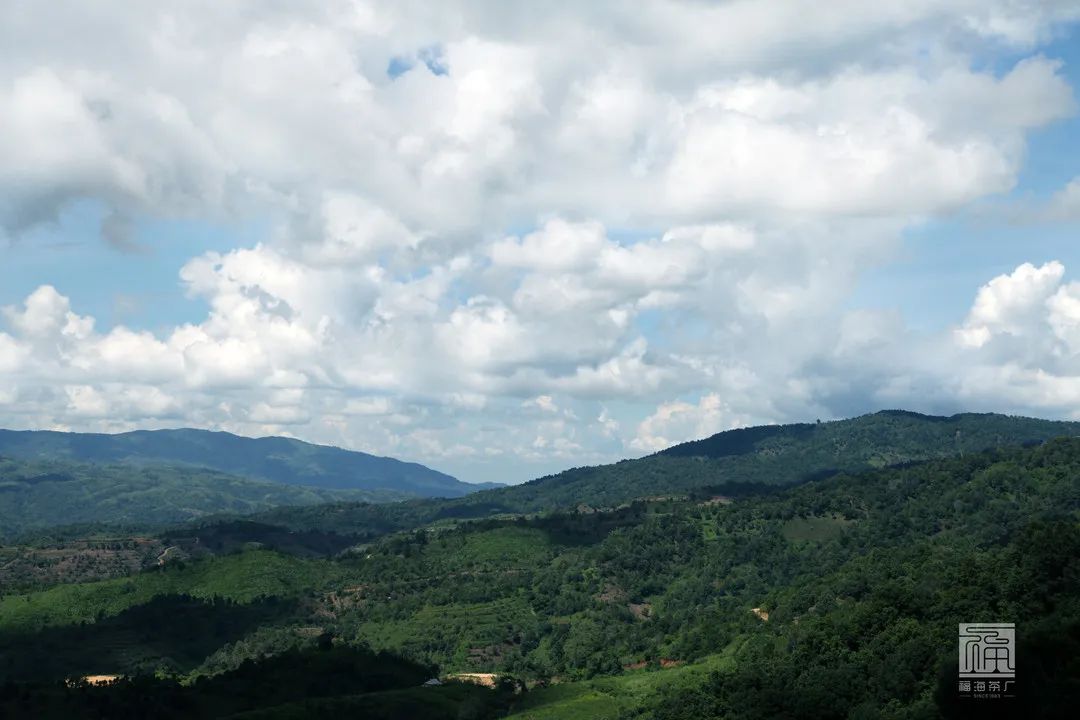 山魂茶韵布朗山