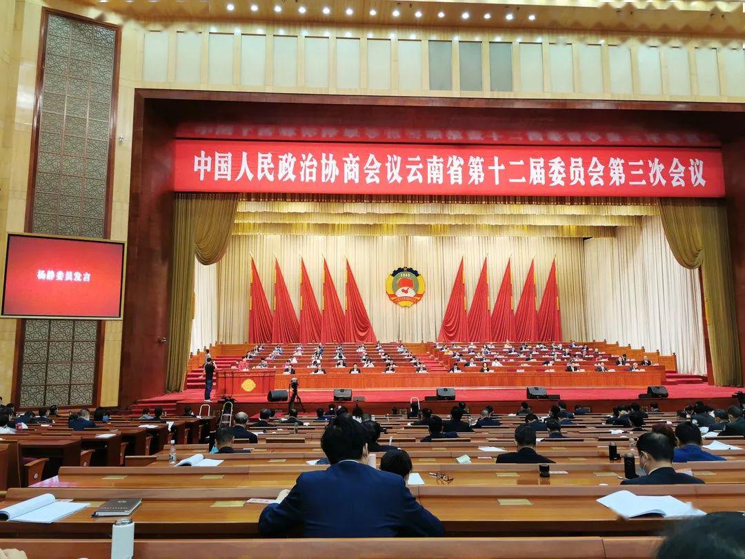 杨静在政协云南省十二届三次会议第二次全体会议上作大会发言