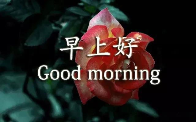 4be5f472b51543ad8b7448bd7749892c.jpeg