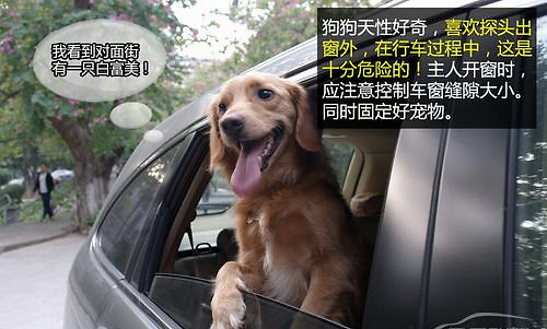5220be7f3f6a41518e91120fb0a95242.png