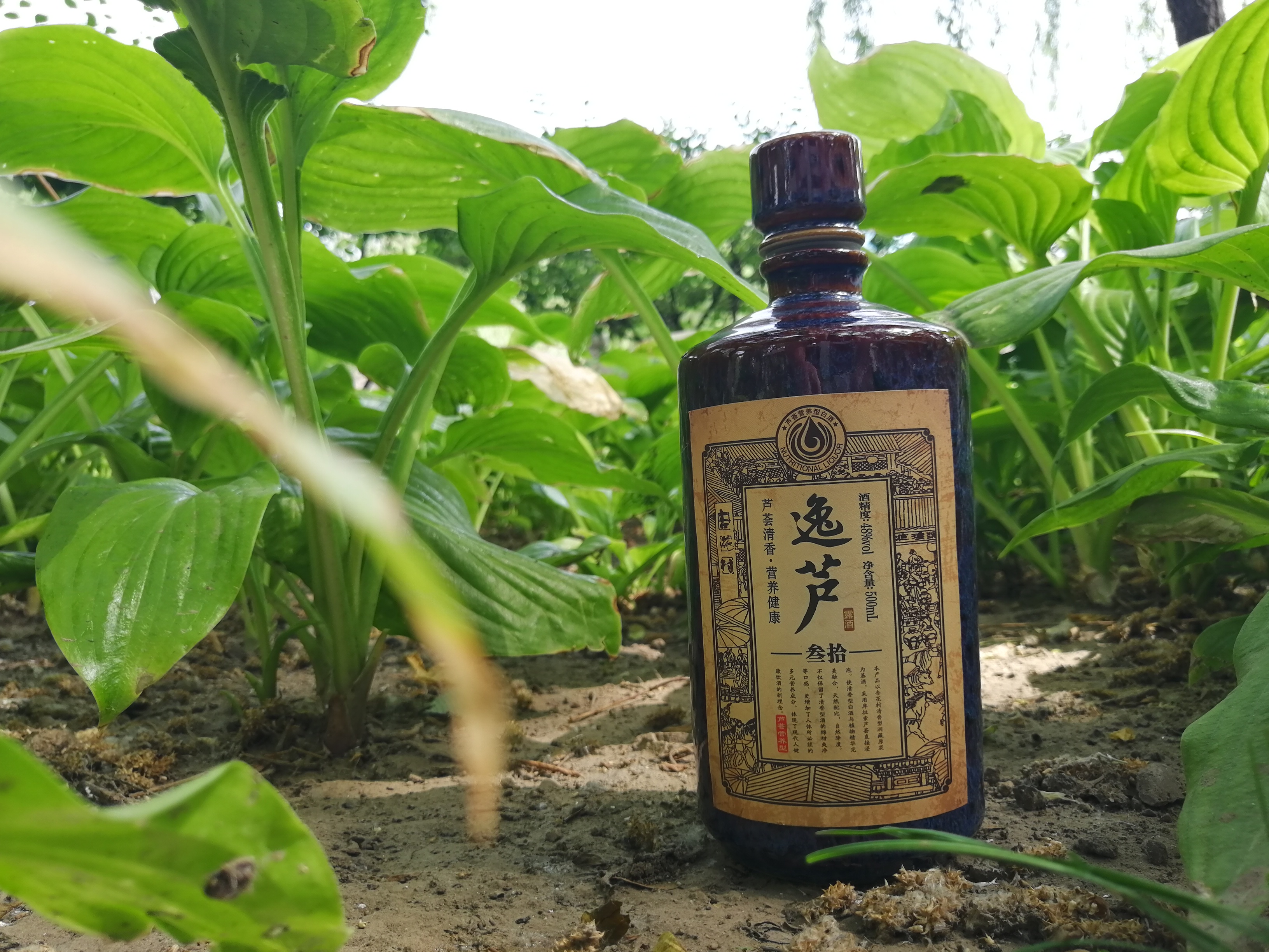 美酒与芦荟精华的逸芦30年佳酿,酒色清明透亮,入口醇和绵柔,甘爽舒适