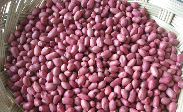 花生米今日价格最新行情 5475bb26f8404e6f94008553f06e3562.jpeg