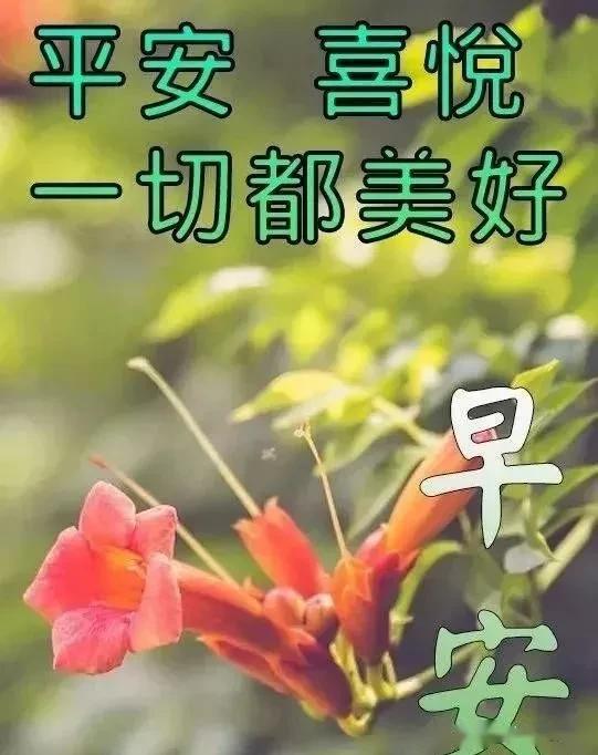 人老人少,健康就好;人丑人美,顺眼就好,早安