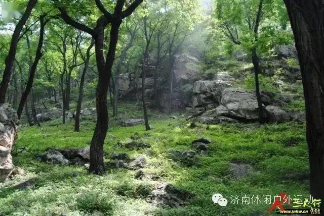 药乡国家森林公园是1992年经国家林业部批准的国家森林公园,位于济南