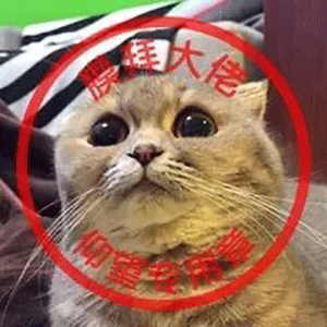 盖章表情包:每日冒泡,签到专用章!