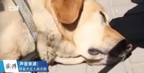 怎么才能让自己不容易流泪 752d9db9a2d74afeb9e238be174569bb.jpeg