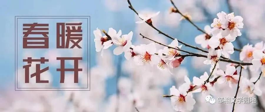 邹相武汉解封不负春天中原作家群