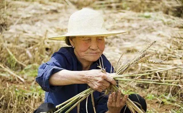 30万存款养老和每月2000退休金养老,哪个活得舒坦