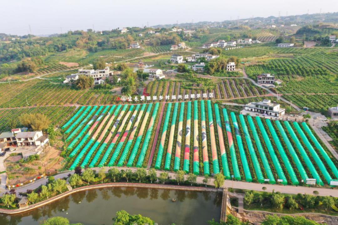 必将进一步完善旅游景区接待功能,提升接待档次让更多游客玩在翠屏,乐