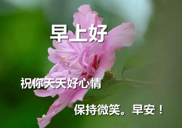 祝你早安简谱_祝你早安午安晚安视频