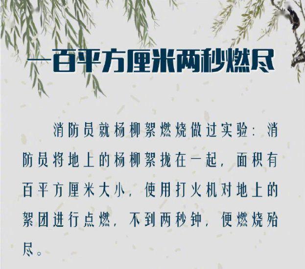 小小信鸽快快飞简谱_小小信鸽快快飞(3)