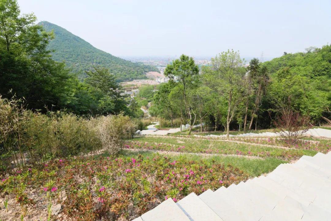 驼峰镇人口_驼峰桥标志