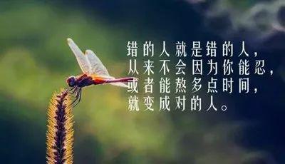 a8627251e5ab47acbed11e44f7142404.jpeg