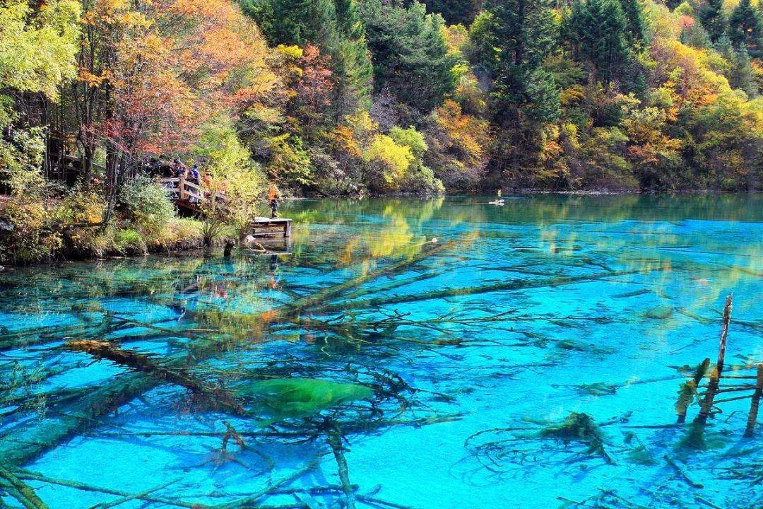 九寨沟以高山湖泊群,瀑布,彩林,雪峰,蓝冰和藏族风情并称"九寨沟六绝