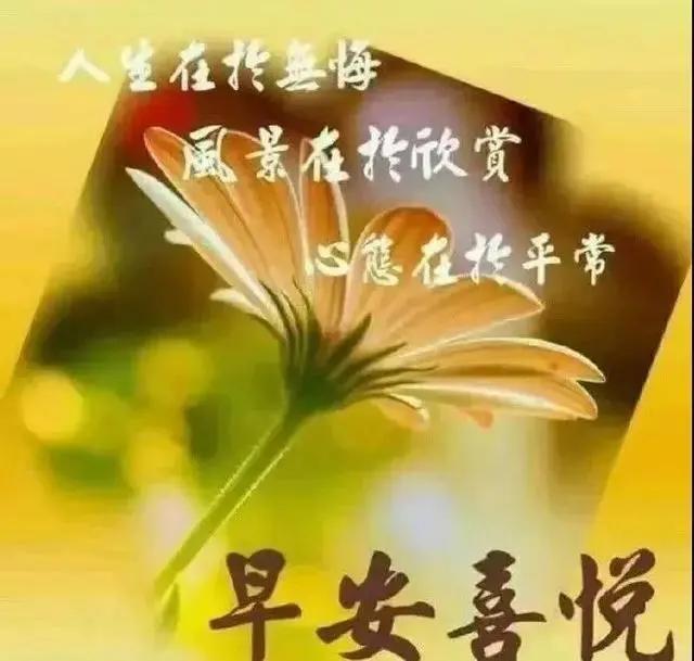 人生的路,难与易都得走;世间的情,冷与暖总会有,早安