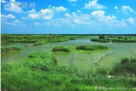 山东单县有多少人口_山东单县地图