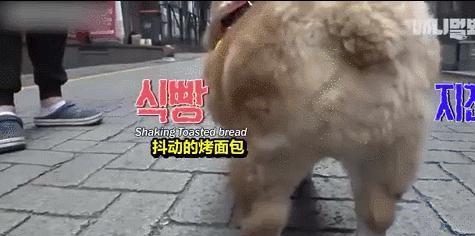 bd910e0897404c5c8e6ab74ed66969f4.jpeg