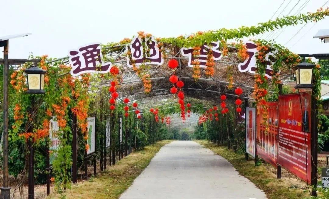碧桂园北海阳光携手桂林银行带你趣玩生态园