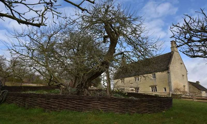 复苏,衰退还是大萧条?我们讲述故事影响经济危机