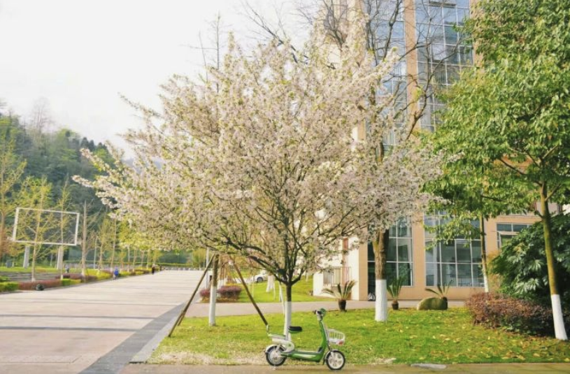 大学■美的令人窒息！最美二本师范学院！512汶川大地震迁建
