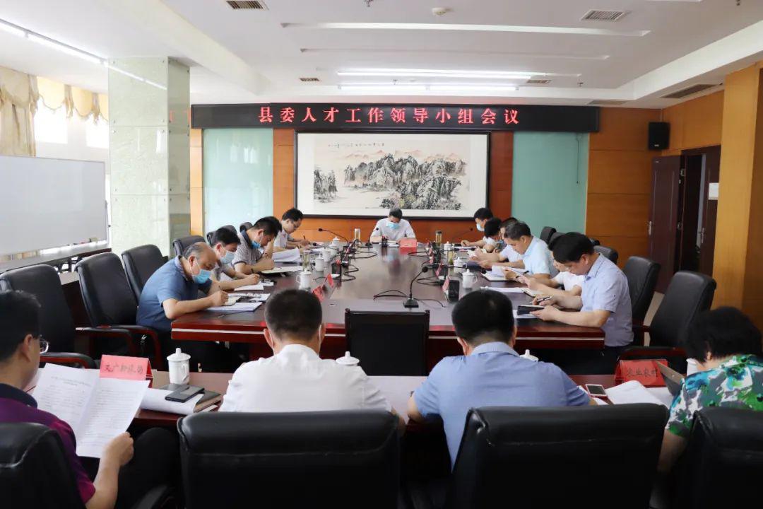 大余县召开县委人才工作领导小组会议