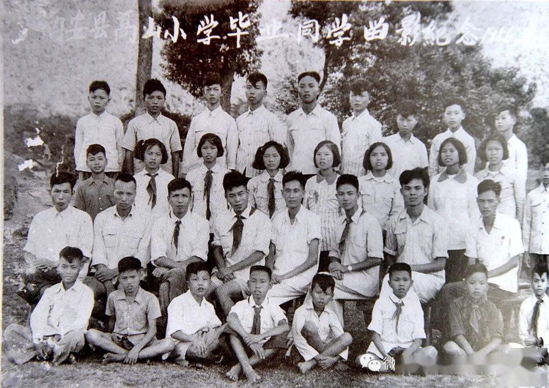 南安县高山小学毕业班及全体老师摄影留念 1955年